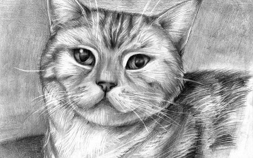 Что нарисовать когда скучно не сложное. Что нарисовать