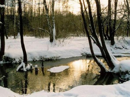 Что нарисовать когда скучно не сложное. Что нарисовать