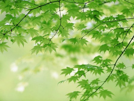 Что нарисовать когда скучно не сложное. Что нарисовать